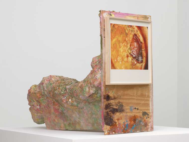 Rachel Harrison, Duck’s Legs and Carrots , 2006. Wood, polystyrene,
cement, acrylic, and framed pigmented inkjet print, 61 x 48 x 48 inches
(154.9 x 121.9 x 121.9 cm). Private collection; courtesy the artist and
Greene Naftali, New York. Photograph by Tim
Nighswander/IMAGING4ART
