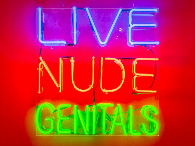 Angelo Madsen Minax, Live Nude Genitals, 2012. Neon and Plexiglas, 36 x 36 inches. Photo by Kristine Eudey, 2019, courtesy of Leslie-Lohman Museum, New York.