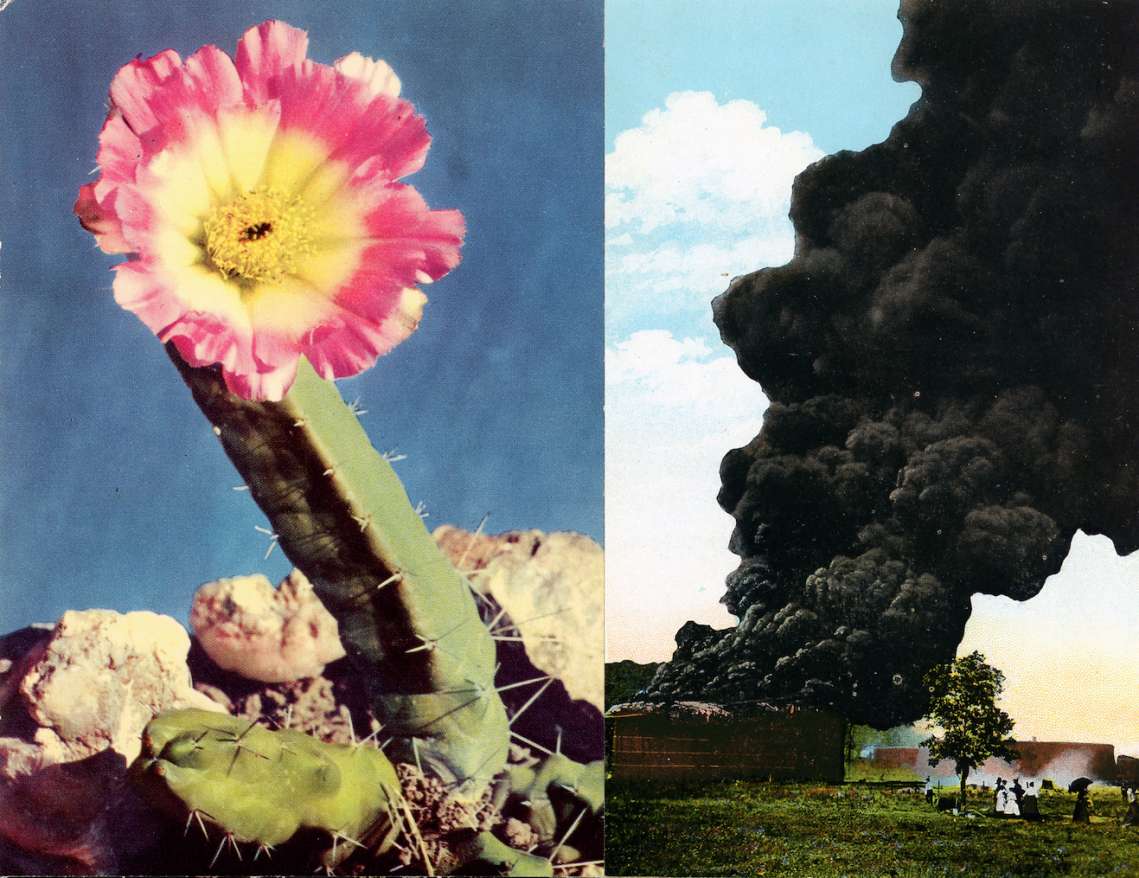 Two images side by side: on the left a large cactus with a flower on top, on the right a large cloud of black smoke in a pastoral landscape