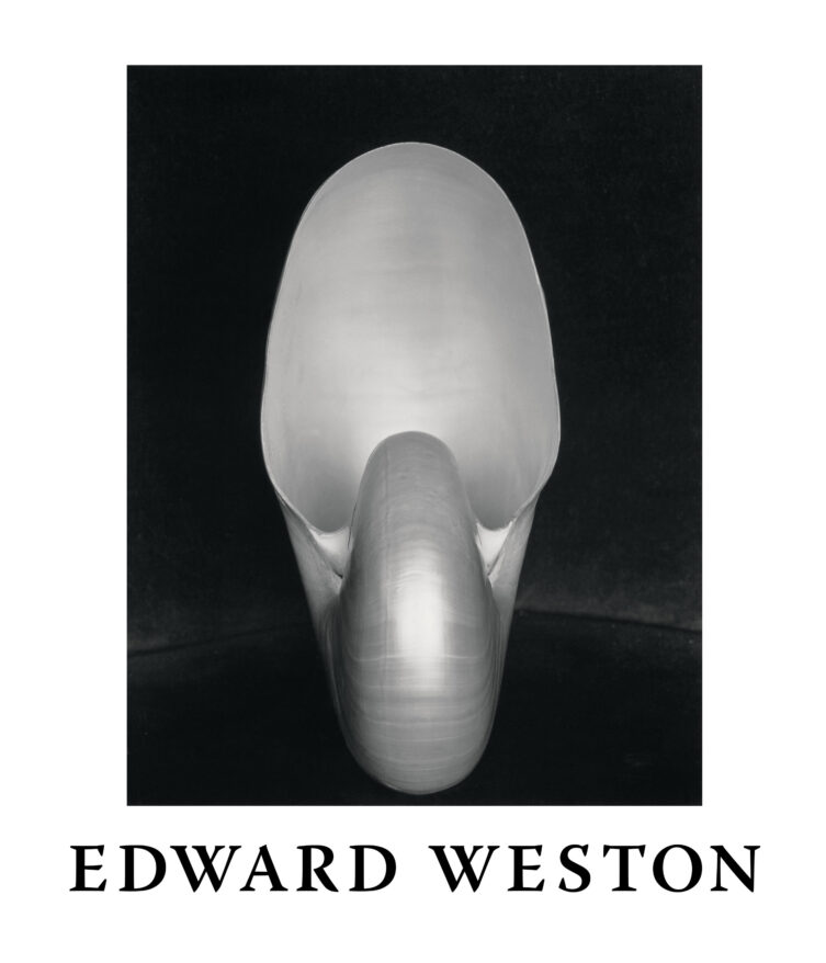 Front cover of The Flame of Recognition by Edward Weston (Aperture, 2025); cover image: Edward Weston, Shell, 1927. © 1981 Center for Creative Photography, Arizona Board of Regents