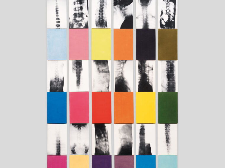 Front cover, Kuni. Sugiura, Vertebra, 2021. Photographic emulsion and acrylic on canvas