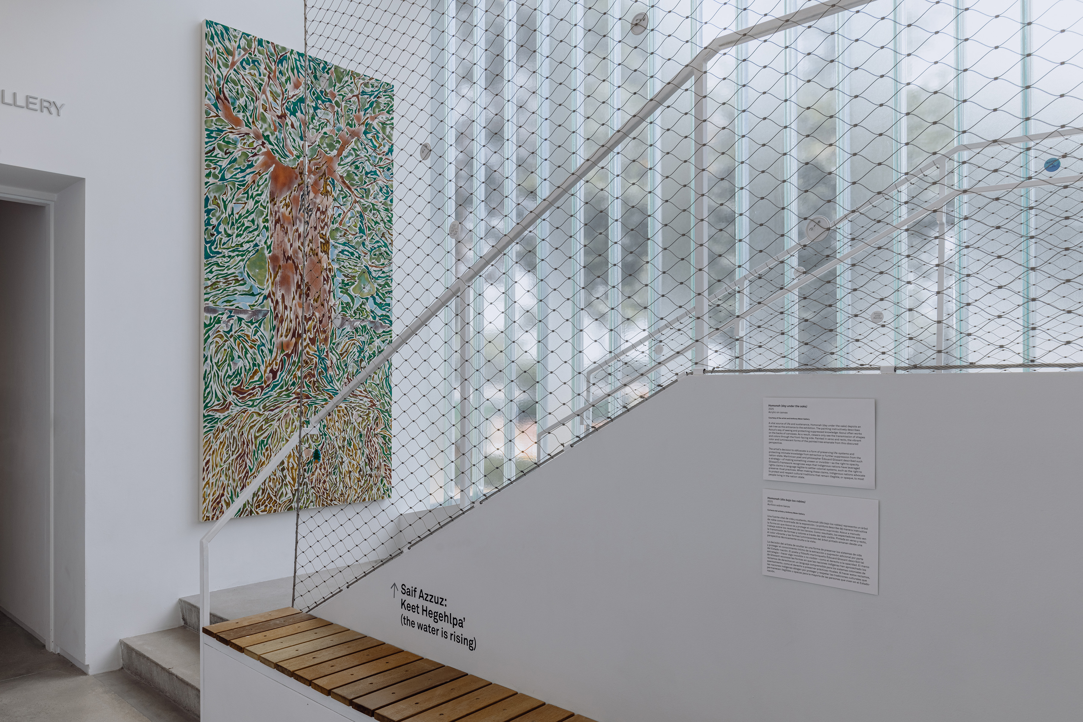 Saif Azzuz, Homonah (day under the oaks), 2025, Acrylic on canvas. Image courtesy of the Blaffer Art Museum. Photography by Francisco Ramos