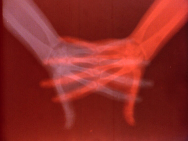 Barbara Hammer, Sanctus, 1990. 16mm film transferred to HD video. Courtesy the artist’s estate and Electronic Arts Intermix (EAI).