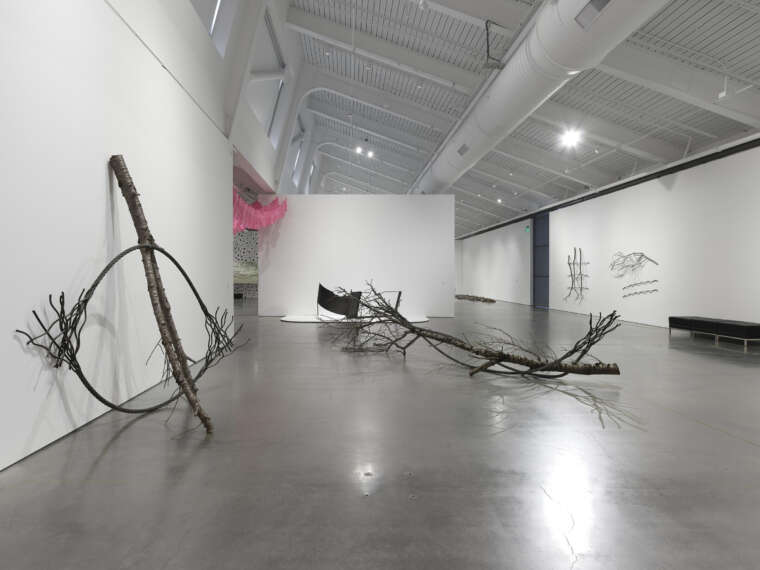 Maren Hassinger: Living Moving Growing. Installation view. photo by Chris Grunder.