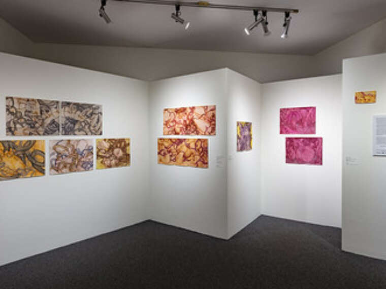 Installation photo by John Polak of the exhibition “Juanita Lanzo: Formas Feroces y Tiernas” at the Brattleboro Museum & Art Center