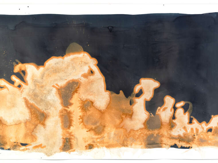 Meghann Riepenhoff, Waters of the Americas: US Geological Survey #10287000024 (Mono Lake, CA, 2017) 2017. Unique dynamic cyanotypes. Courtesy of the artist.